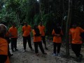 Tn DSC 6200